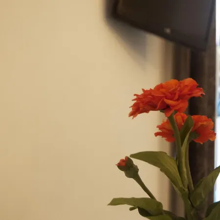 Behouse And Breakfast Guest house Naples