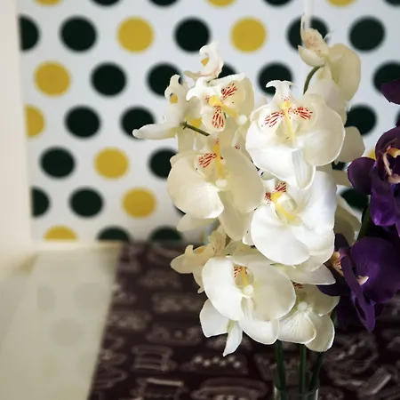 Guest house Behouse And Breakfast 3*